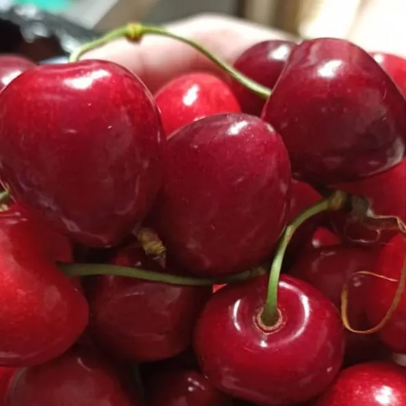 venta de cerezas en Navarra