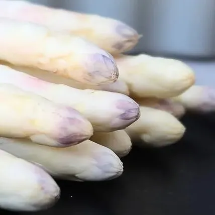 venta de espárrago blanco en Navarra